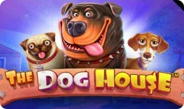 Rockyspin – The Dog House